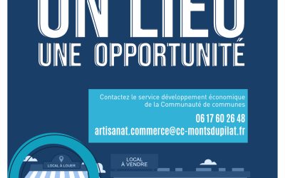 Recensement locaux vacants